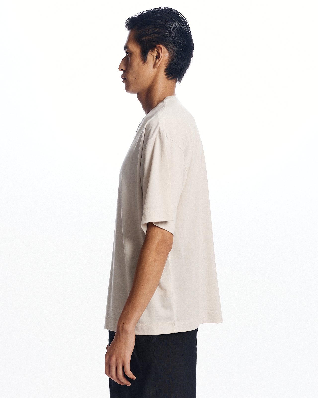 スーパー160sウール防縮天竺 / ショートスリーブTシャツ, Greige