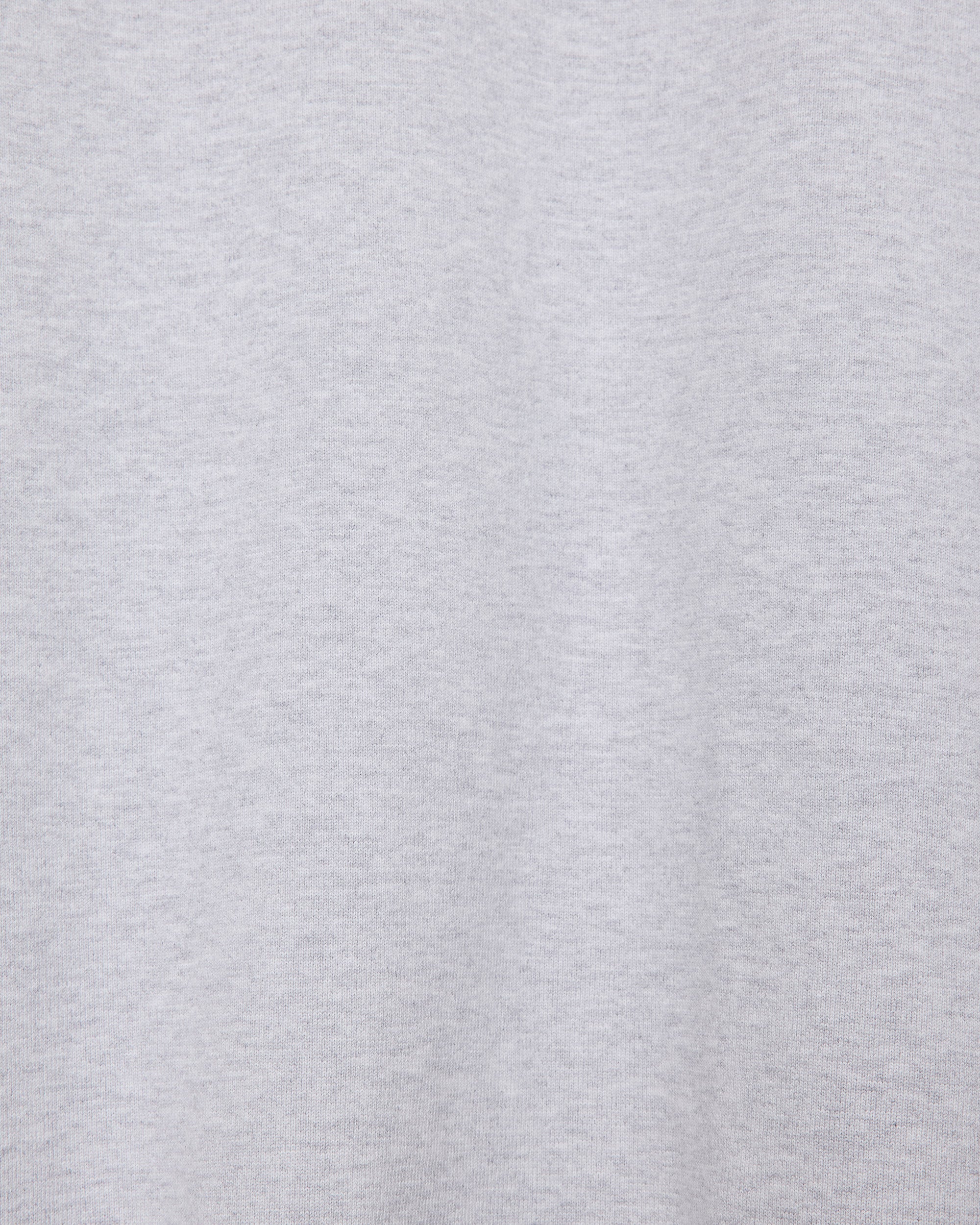 オーガニックコットンヘビー吊裏毛 / ワイドジムパンツ, Ash Gray